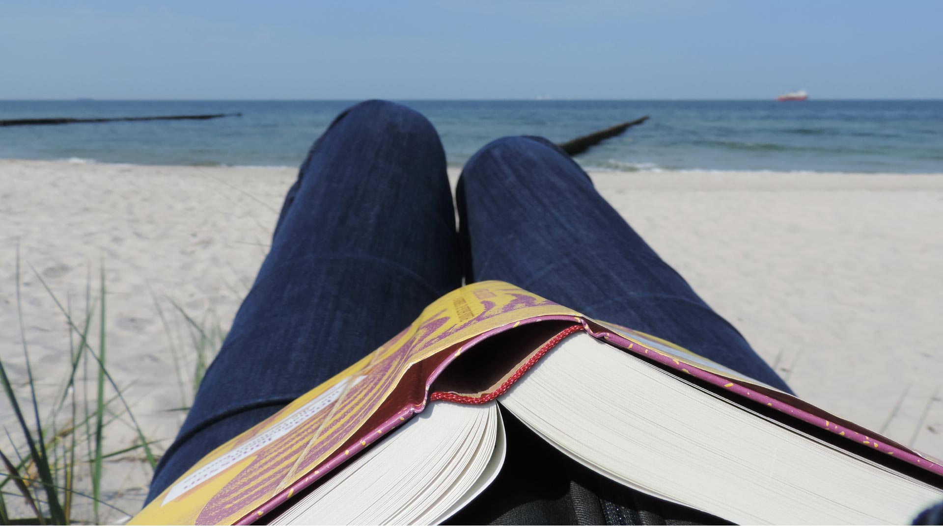 Book on lap at the beach