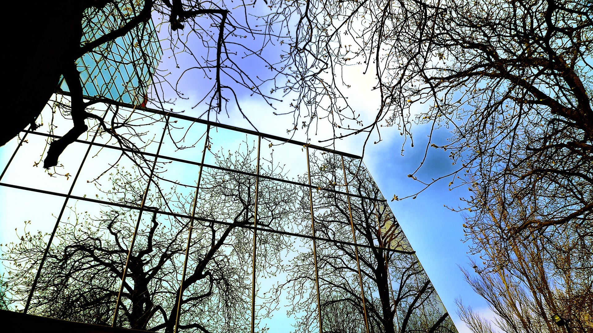 glass building with trees reflected