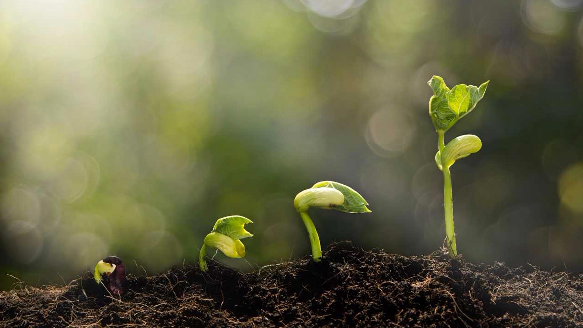 Talent 101: 6 Phases of the Employee Life Cycle - Training Industry