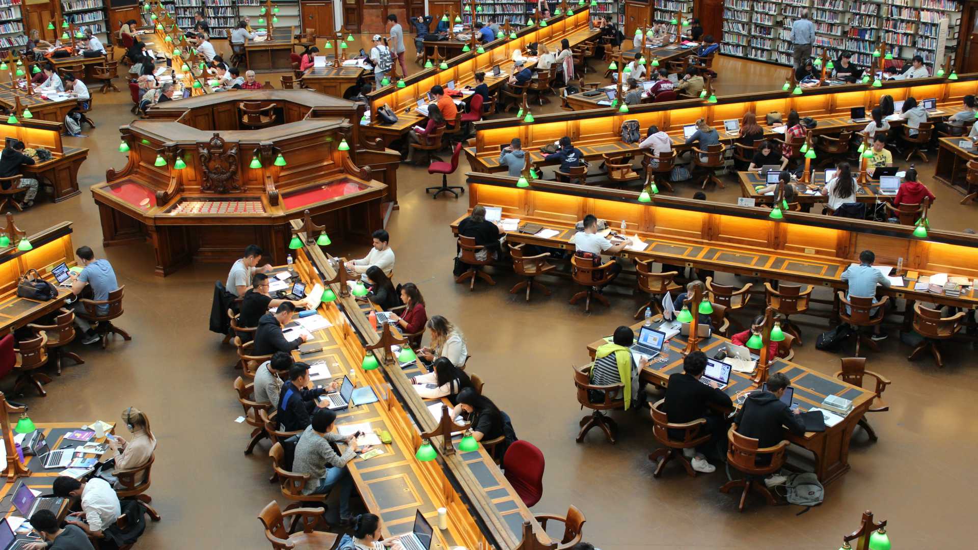 people studying in a university library