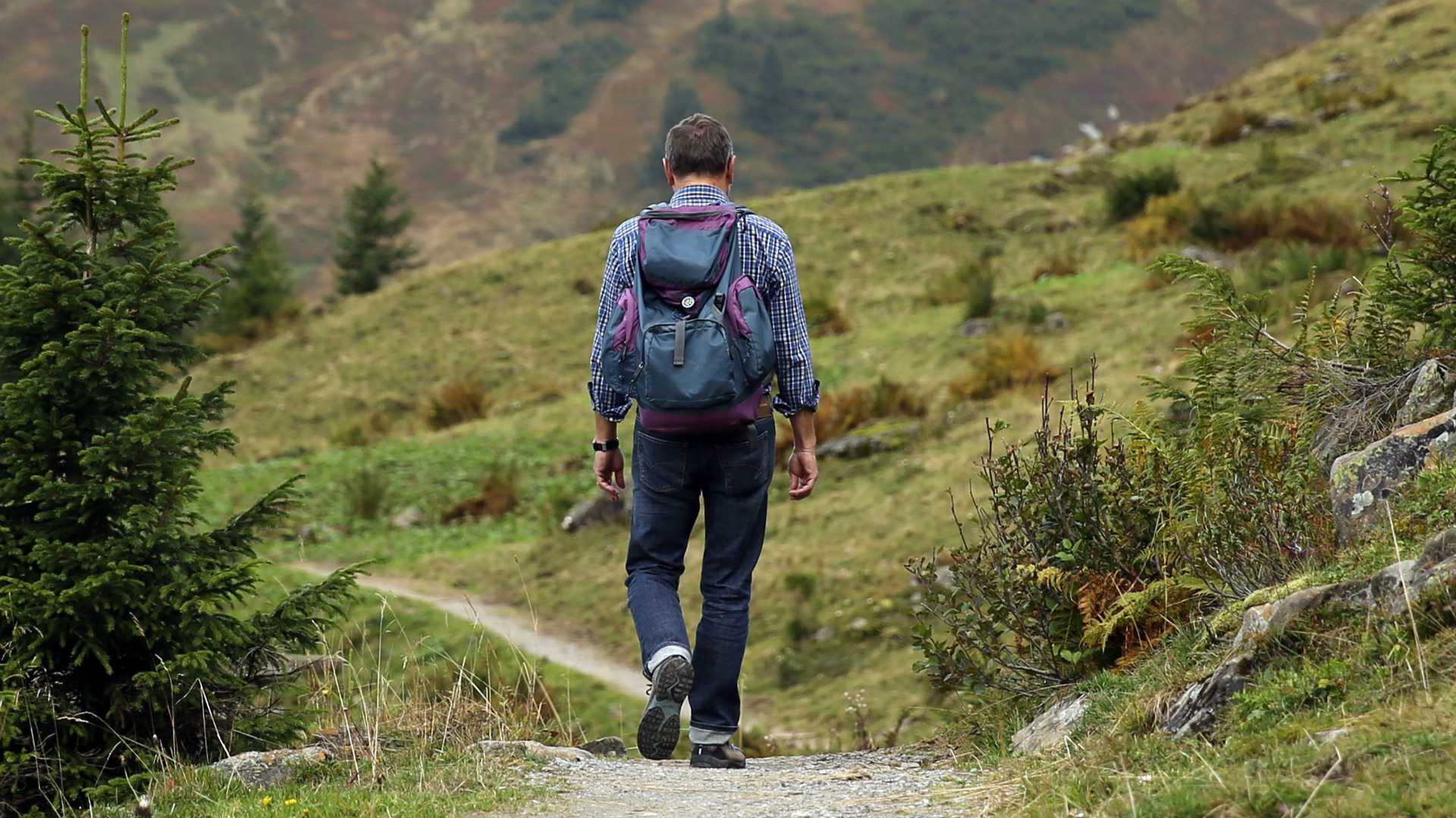 person hiking on a path
