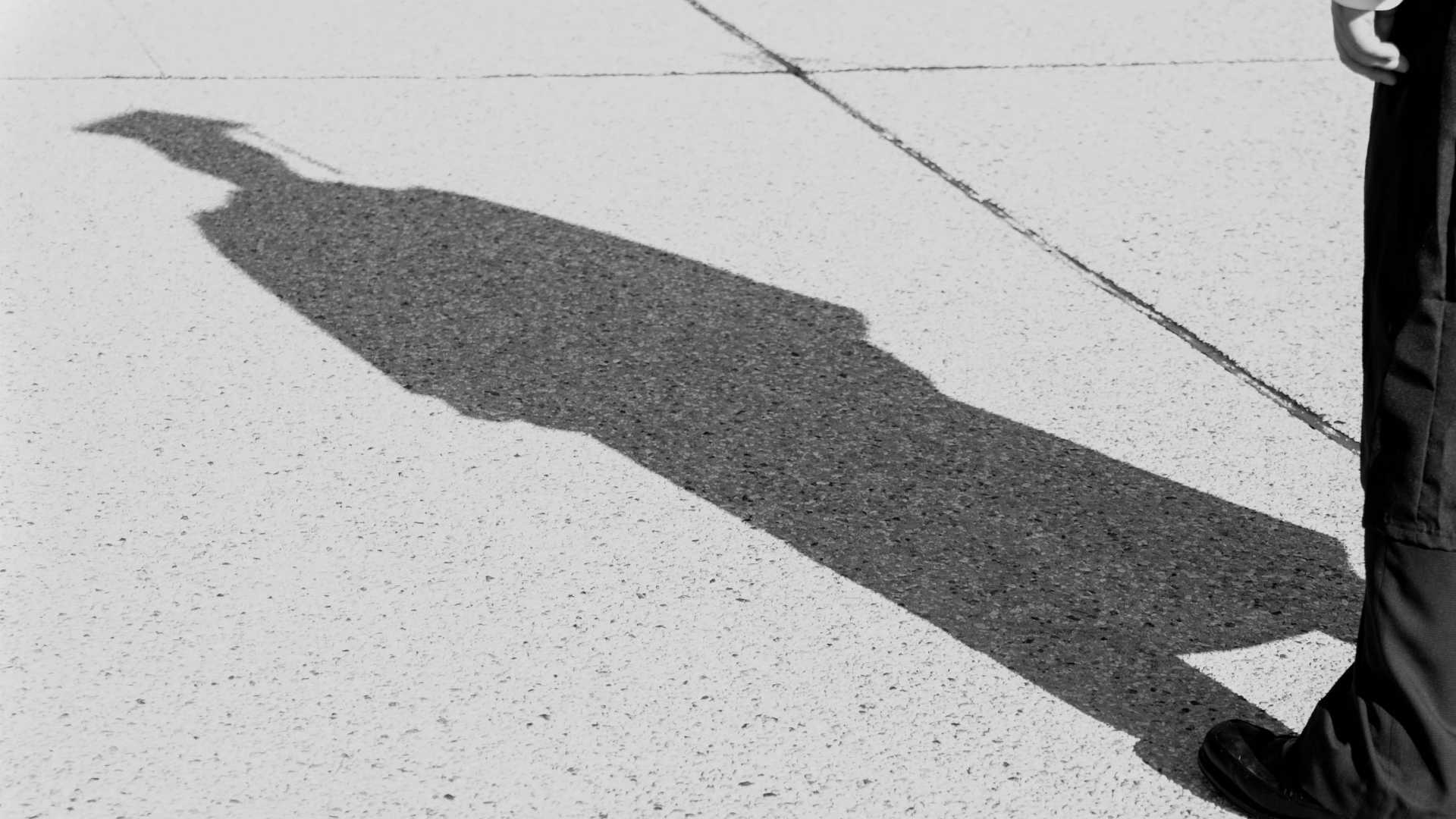 graduate with shadow