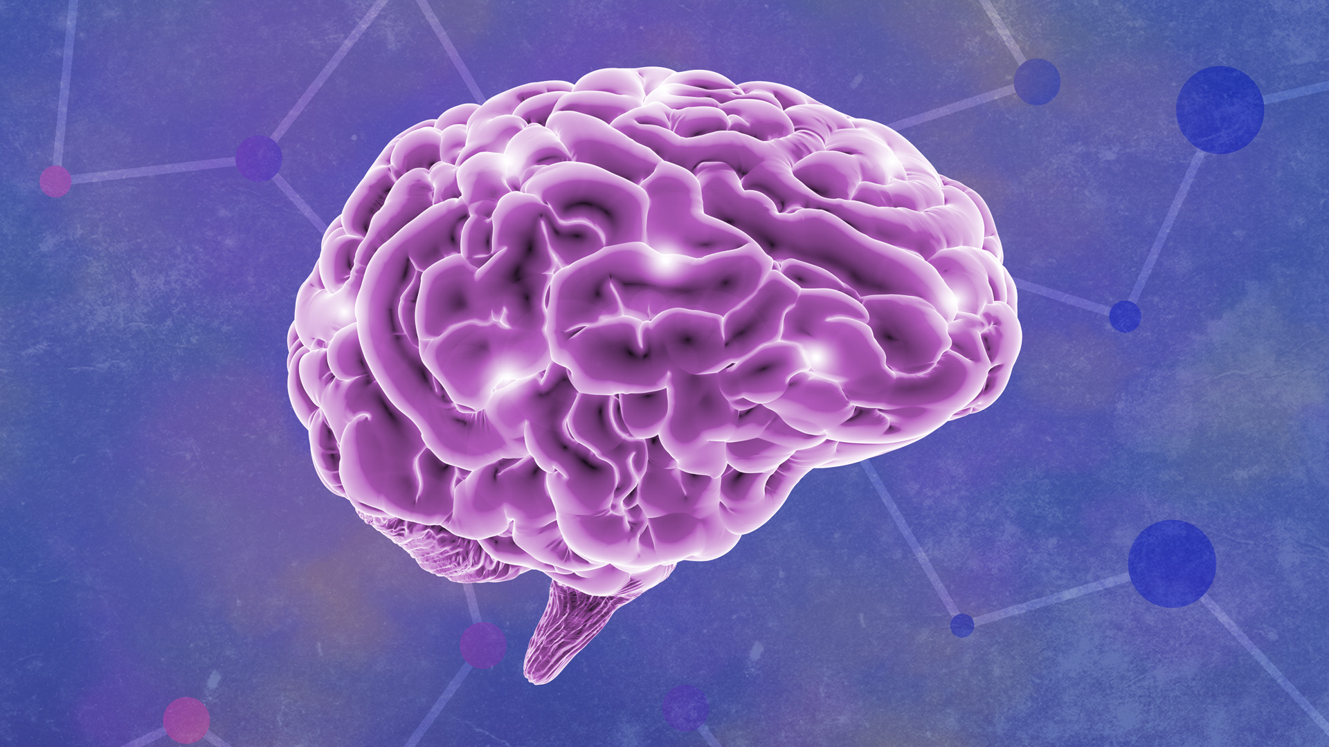 BrainBased Learning Principles for Maximum Retention in the Virtual