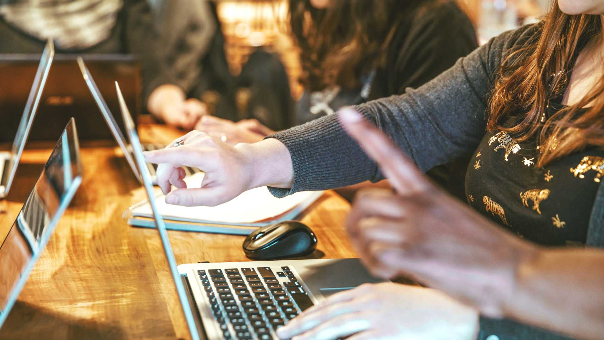team working with laptops