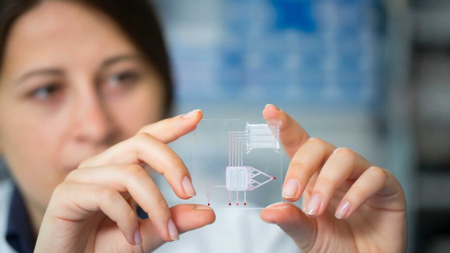 Microchipping Employees A Rising Trend in the Future of Work?