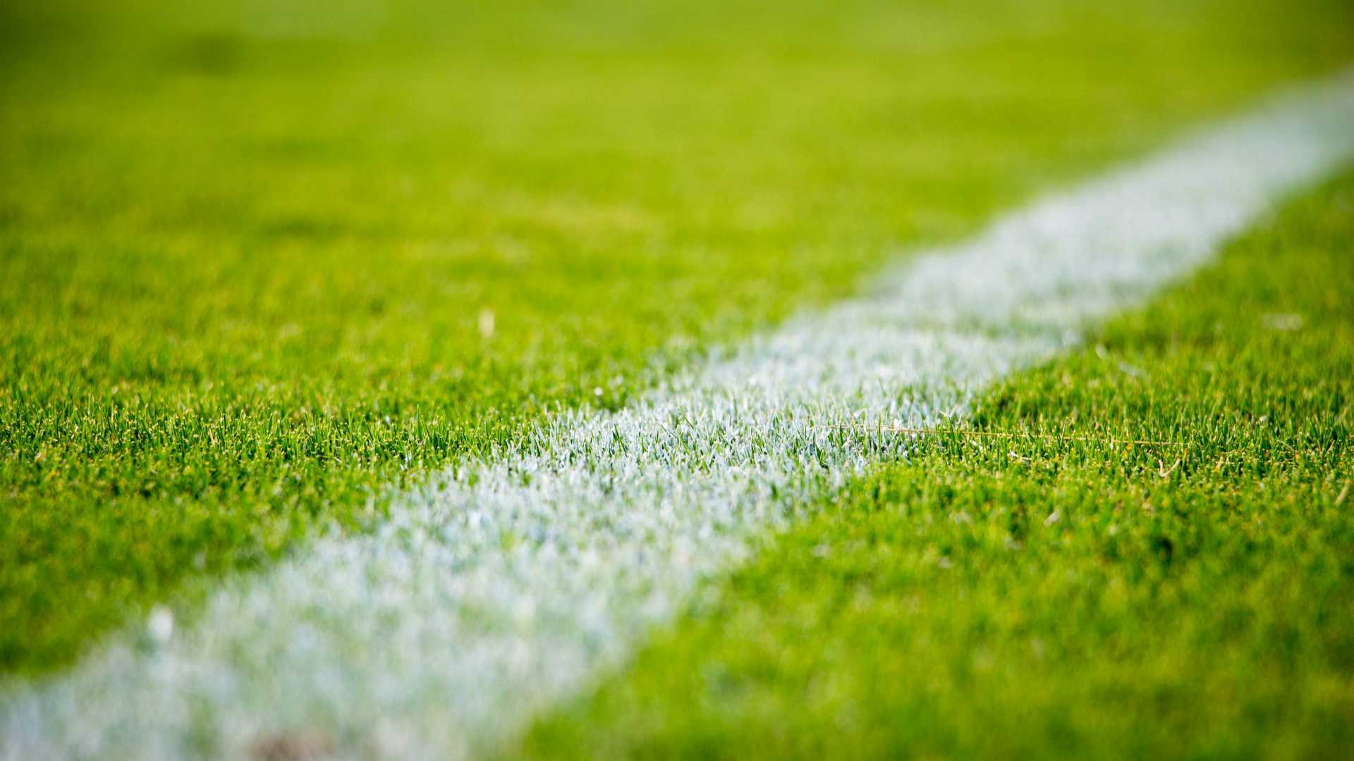 Close up of sports field with white boundary line painted on it