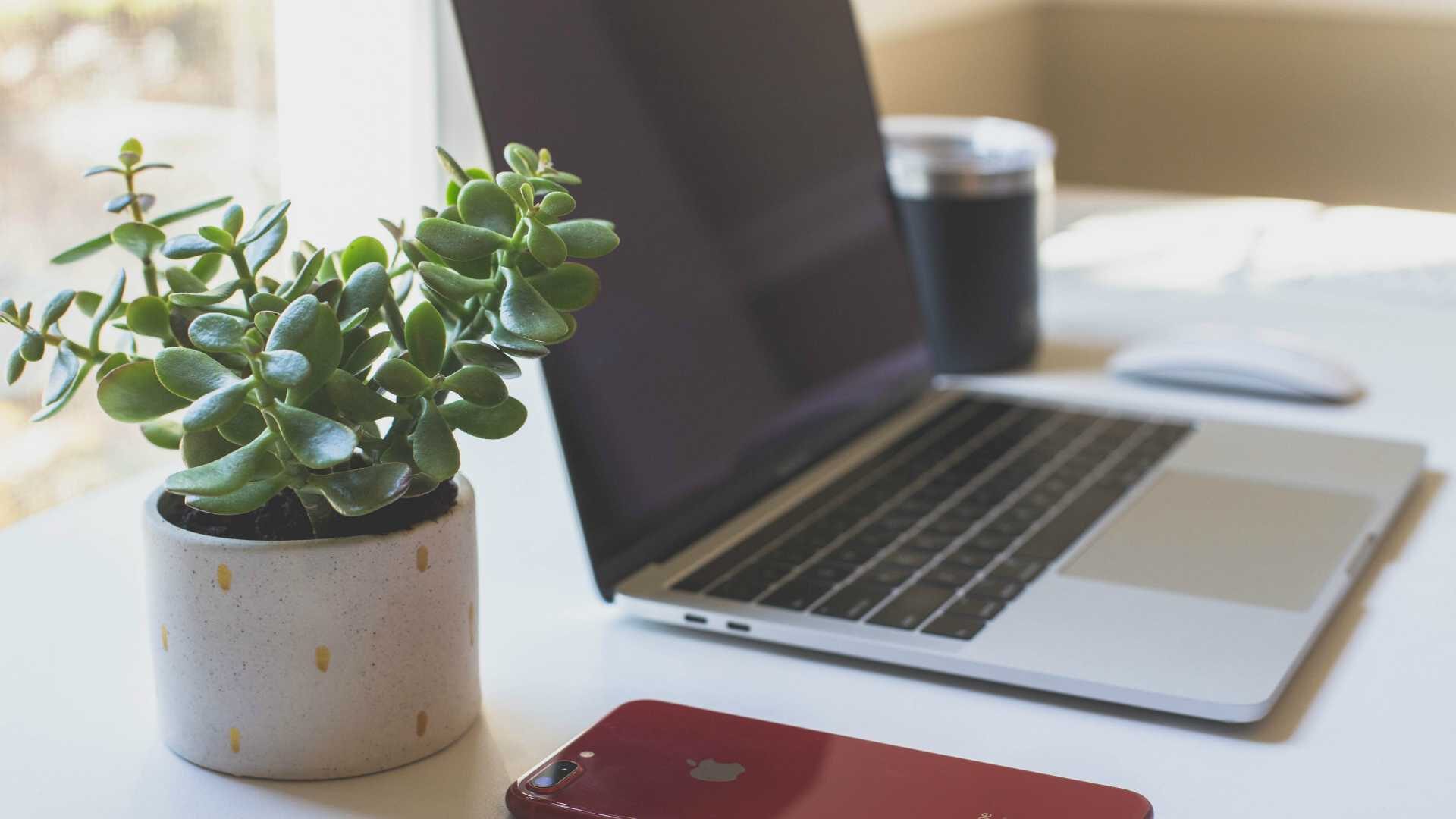 Close up shot of home office desk with house plant, open laptop, and smart phone