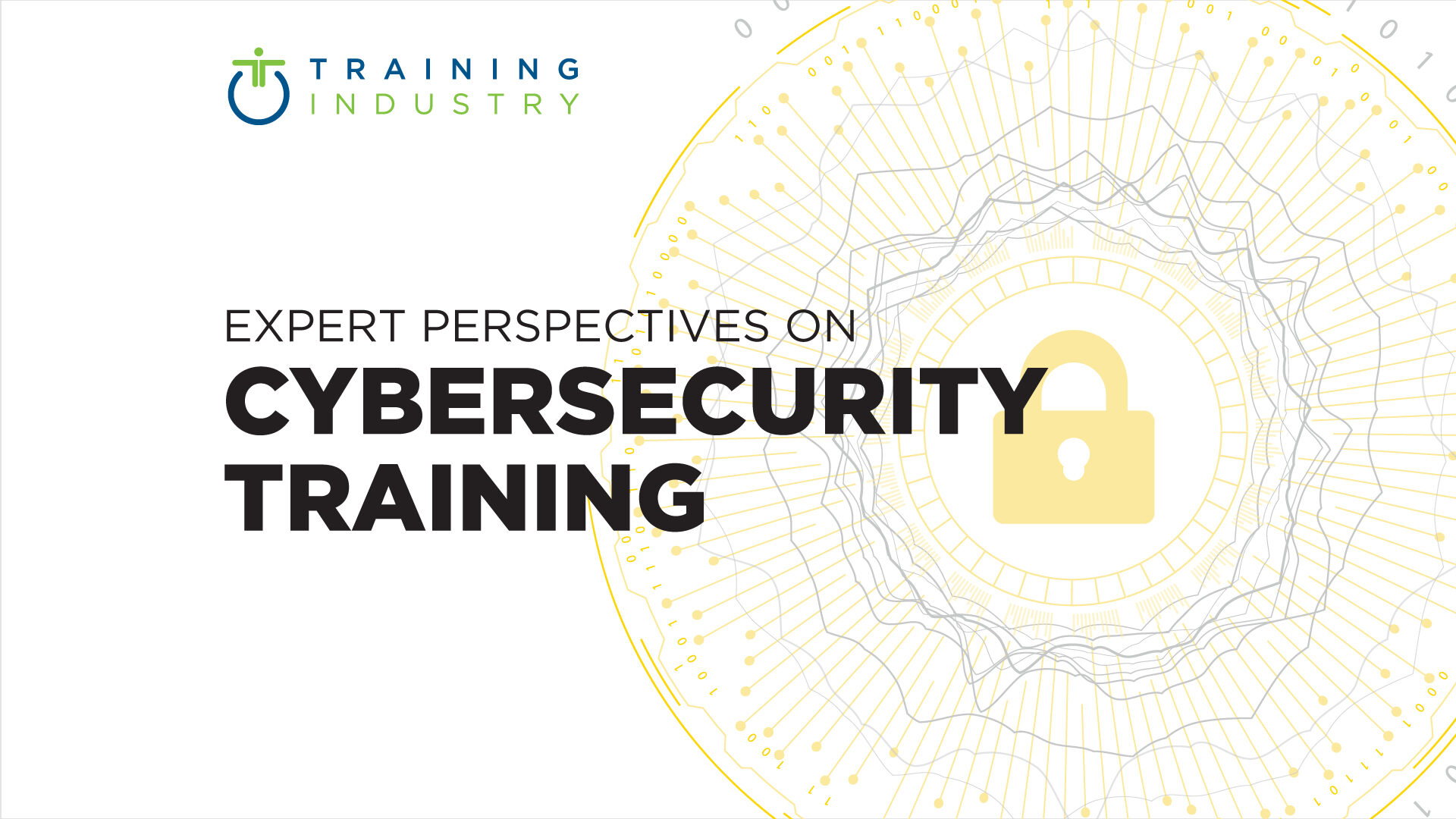 Expert Perspectives on Cybersecurity Training