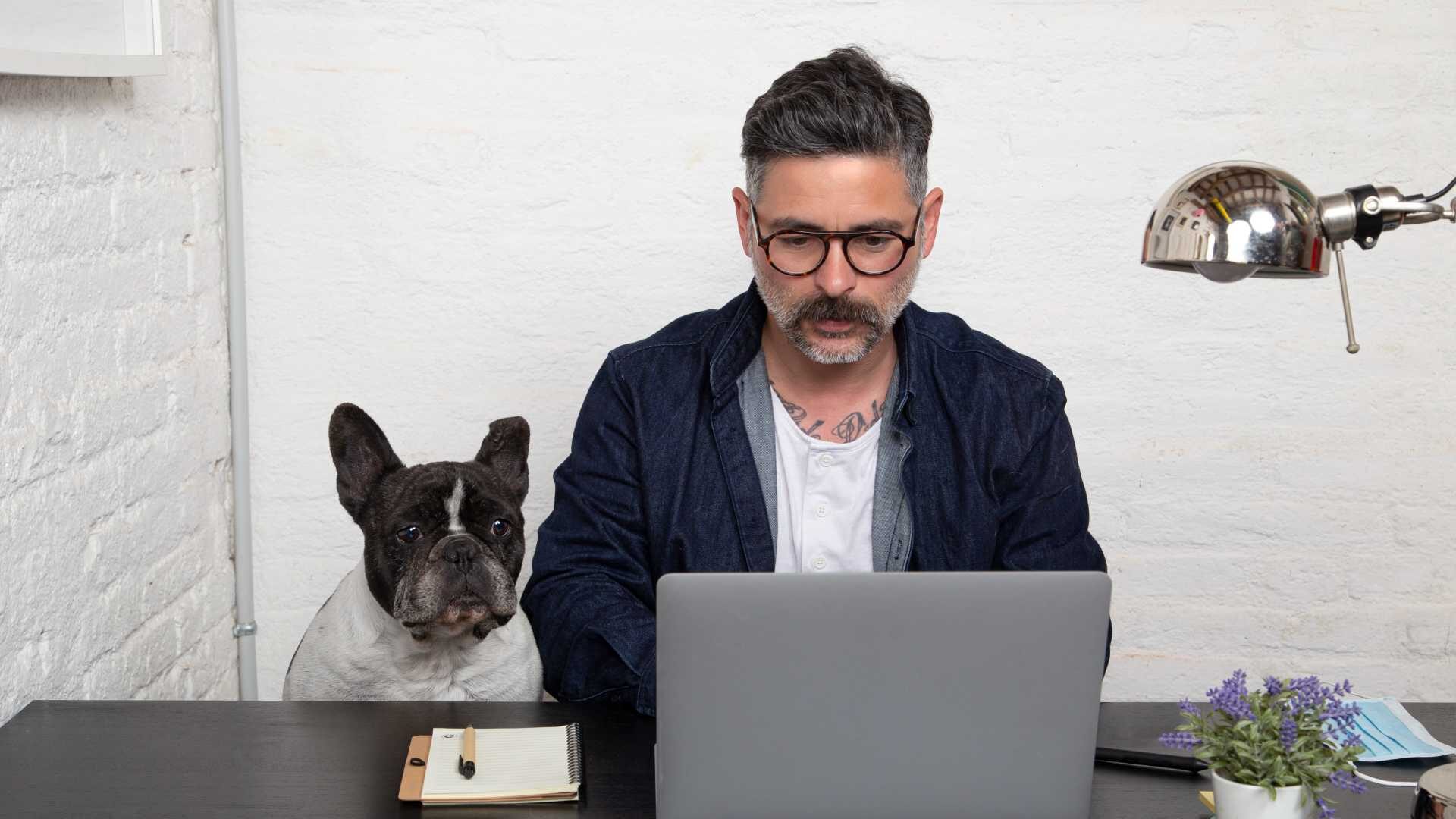 a man with glasses sits before his laptop with a small dog next to him