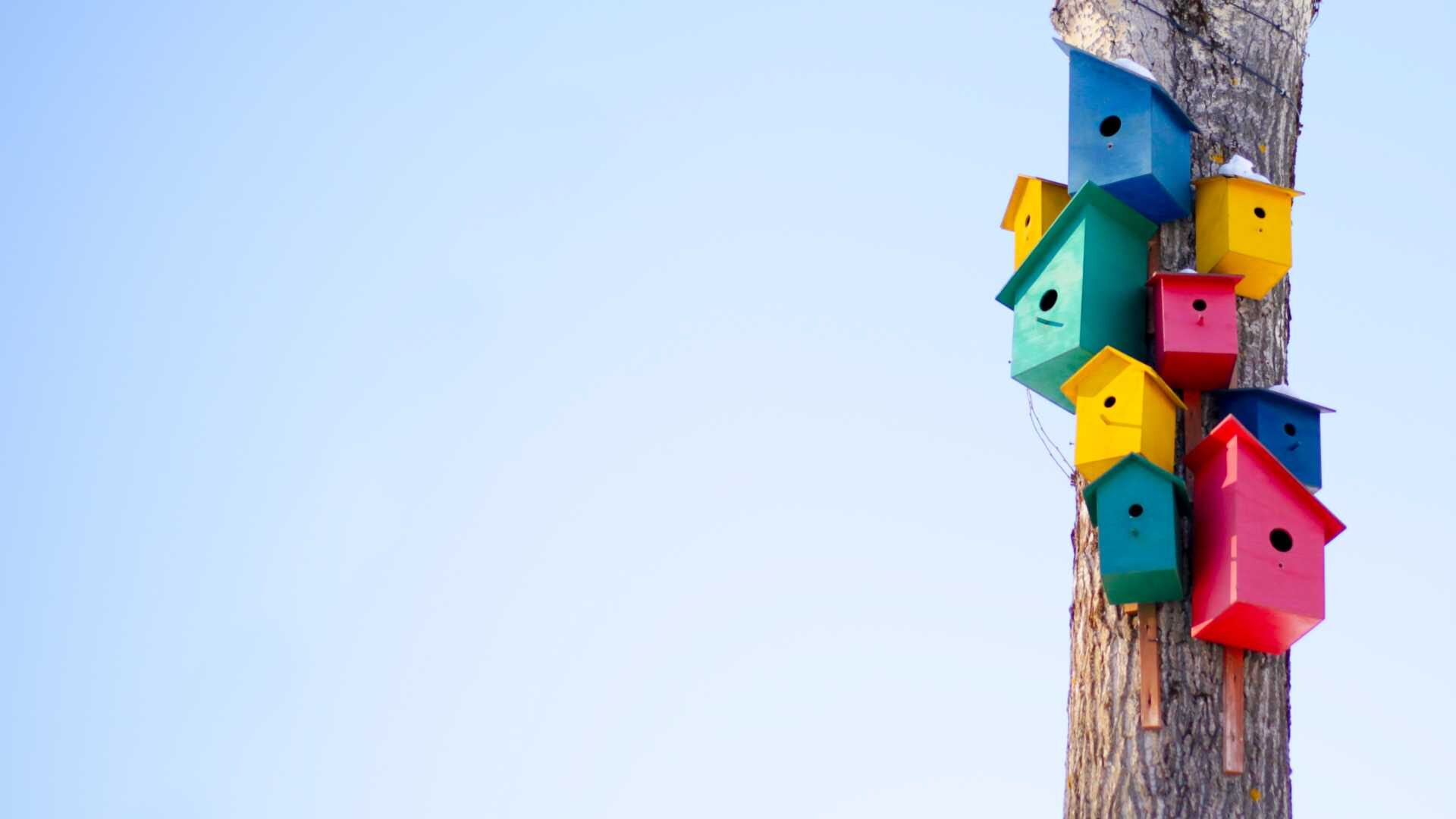a variety of bird houses hang on the same tree; each one is a different shape and color.