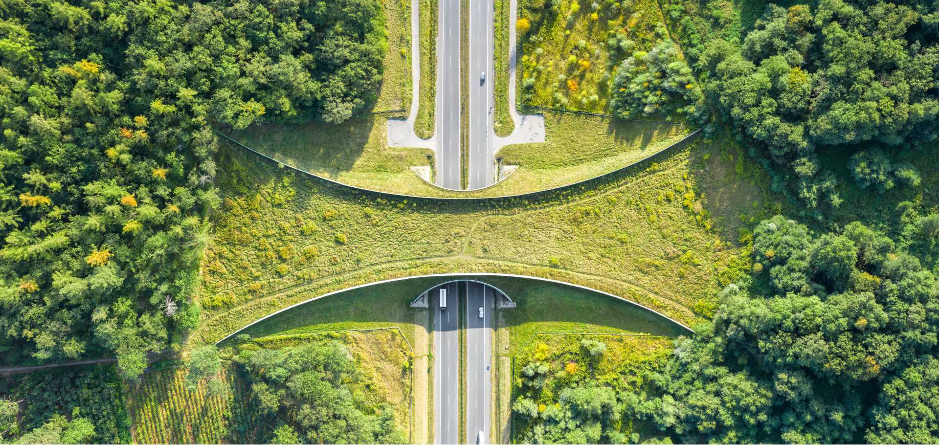 An aerial shot of a highway; there is a verdant, grass-covered bridge that goes across the top of the highway.