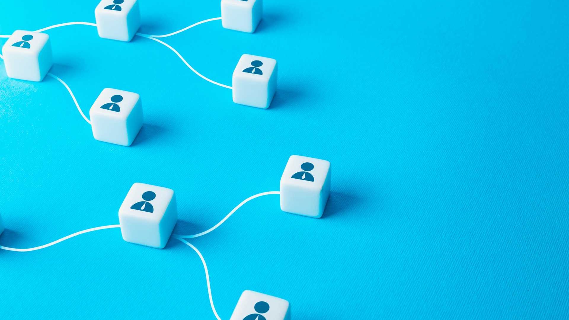 Working together in a network.