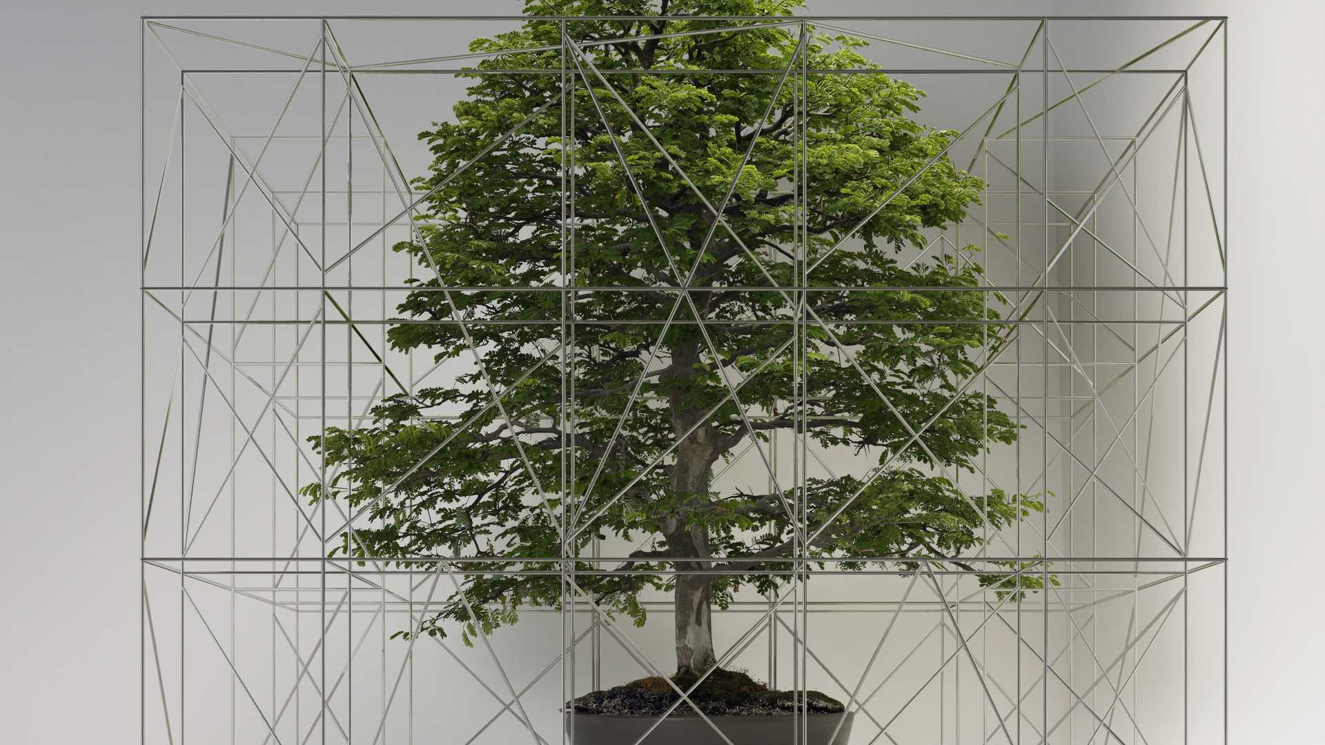 A tree being blocked off by a cage.