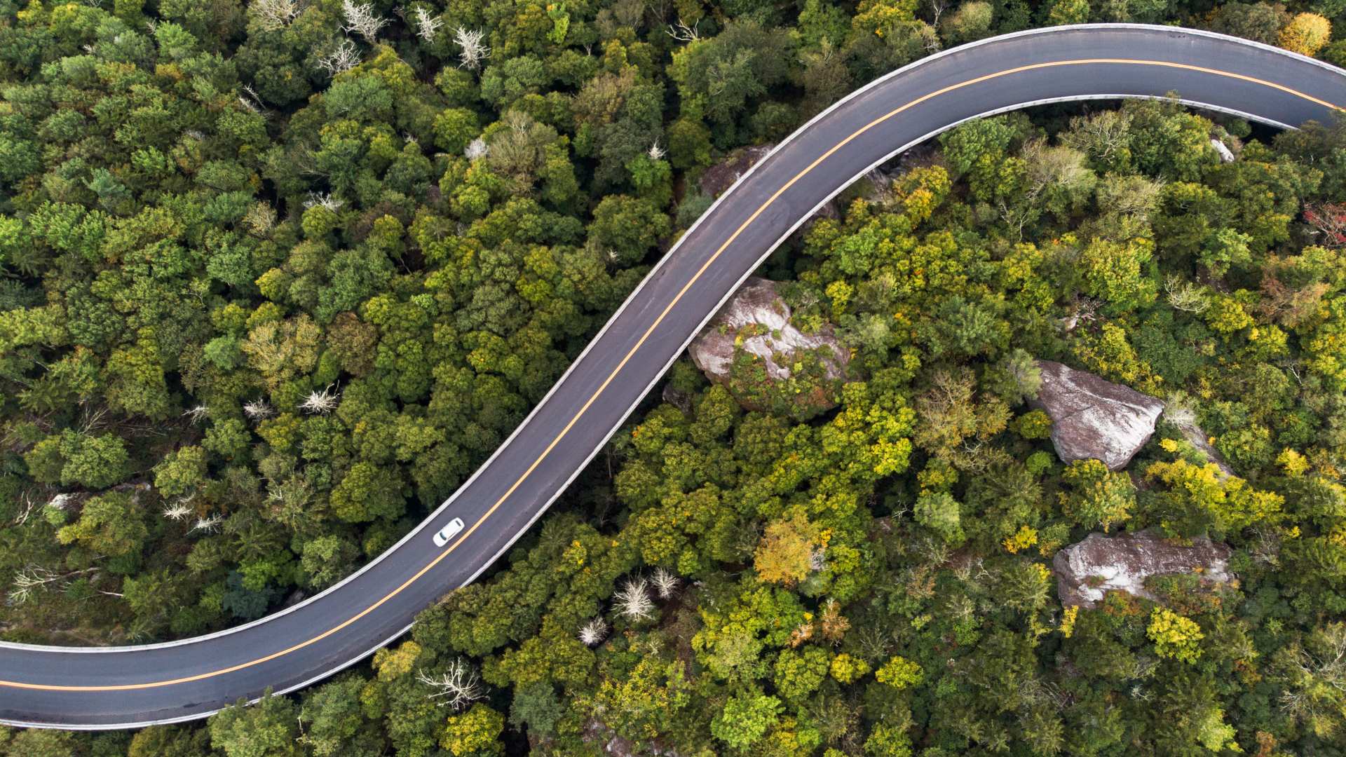 An aerial view of a winding road surrounded by trees